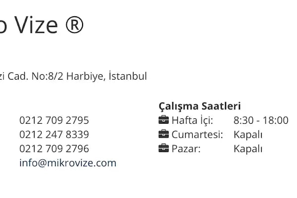 Rusya Vize Başvurusu - Mikro Vize - Resim 15