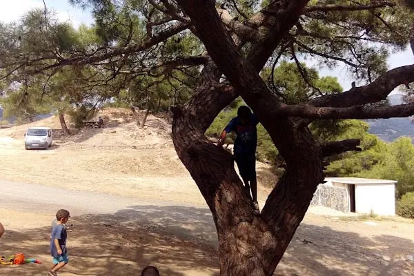 Örnekköy Milli Parkı - Resim 17