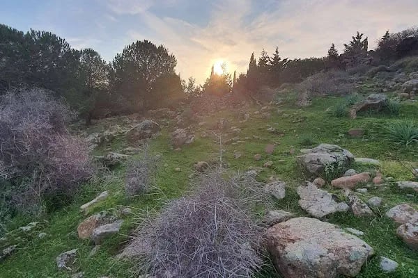 Örnekköy Milli Parkı - Resim 7