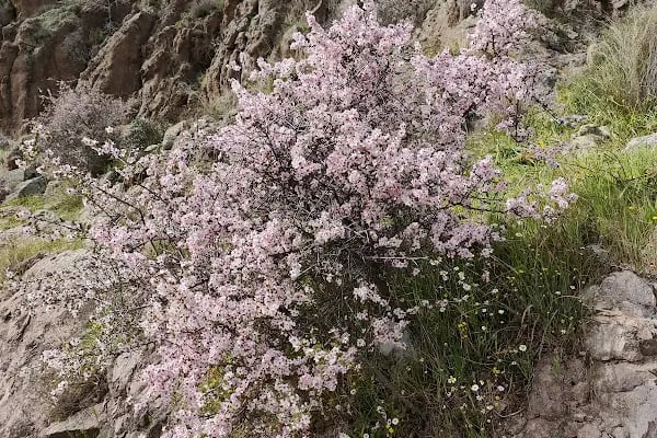 Örnekköy Milli Parkı - Resim 19