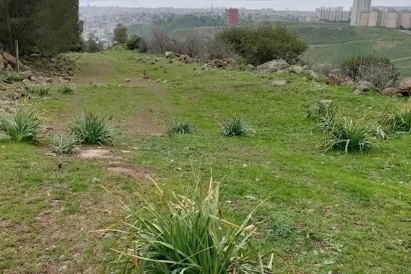 Örnekköy Milli Parkı - Resim 8