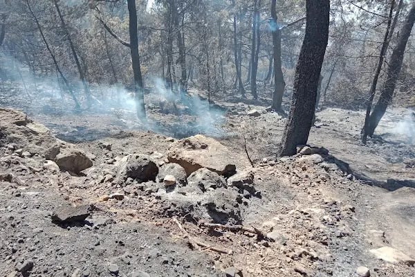 Örnekköy Milli Parkı - Resim 20