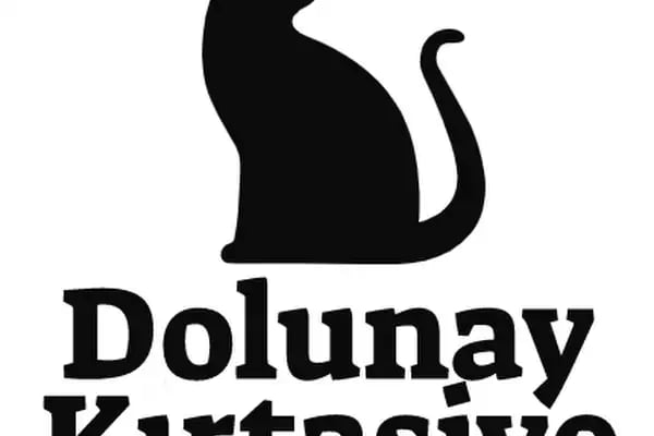 Dolunay Kirtasiye - Resim 14