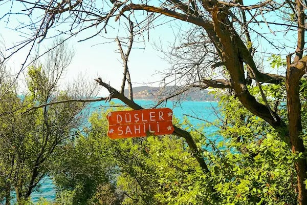 Burgazada Düşler Sahiliplajı ve Kamp alanı - Resim 14