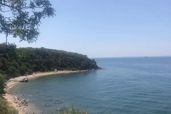 Burgazada Düşler Sahiliplajı ve Kamp alanı - Resim 8
