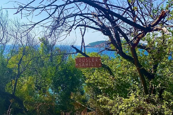 Burgazada Düşler Sahiliplajı ve Kamp alanı - Resim 16
