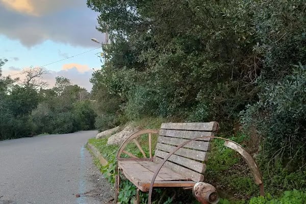 Burgazada Düşler Sahiliplajı ve Kamp alanı - Resim 15