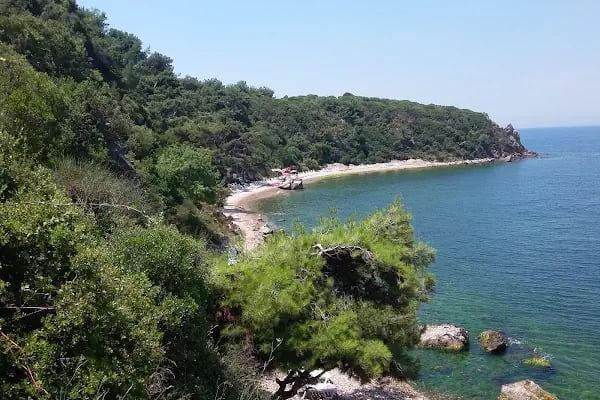 Burgazada Düşler Sahiliplajı ve Kamp alanı - Resim 4