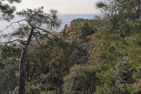Burgazada Düşler Sahiliplajı ve Kamp alanı - Resim 12