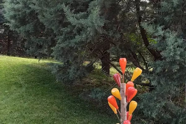 A.Ü.Z.F. Peyzaj Mimarlığı Bölümü - Resim 9
