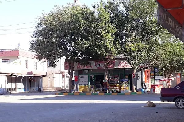 ÖKSÜZ GROSS 🛒 - Resim 13