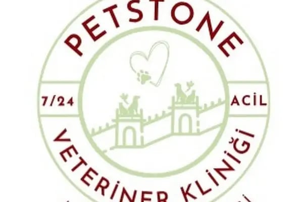 PETSTONE VETERİNER KLİNİĞİ - Resim 6