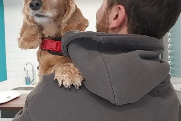 Bursa Veteriner Kliniği - Pakvet - Resim 17