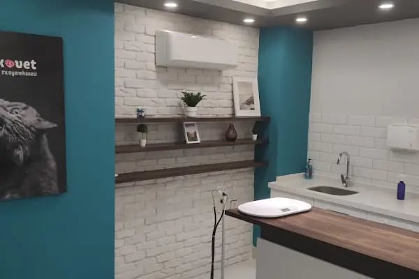Bursa Veteriner Kliniği - Pakvet - Resim 13
