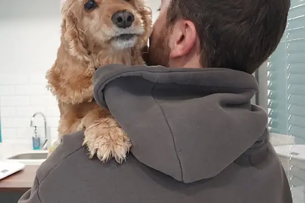 Bursa Veteriner Kliniği - Pakvet - Resim 12