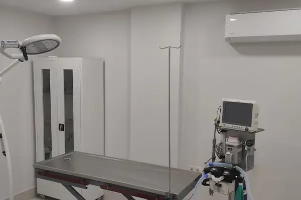 Bursa Veteriner Kliniği - Pakvet - Resim 8
