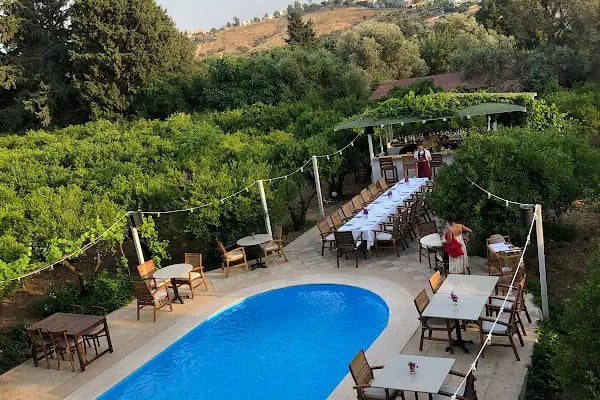 trattoria il mandarino - Resim 5