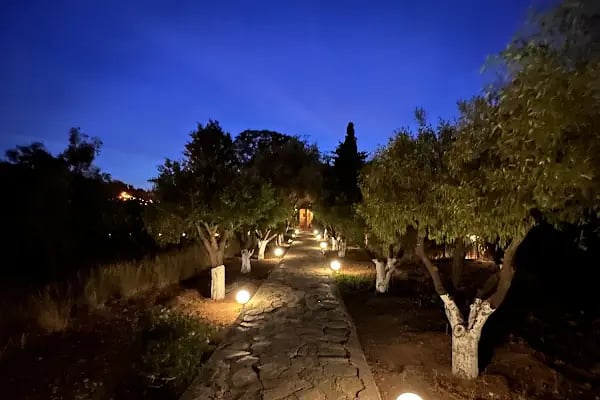 trattoria il mandarino - Resim 7