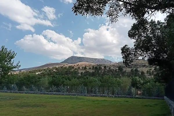 Turgut Özal Tabiat Parkı - Resim 9