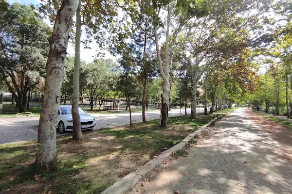 Turgut Özal Tabiat Parkı - Resim 10