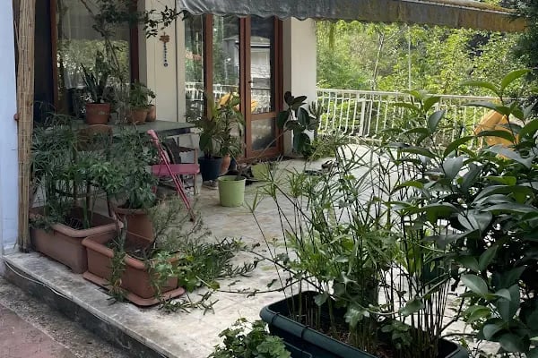 Büyükada’da Yoga - Resim 3