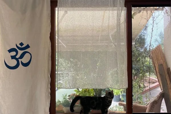 Büyükada’da Yoga - Resim 4