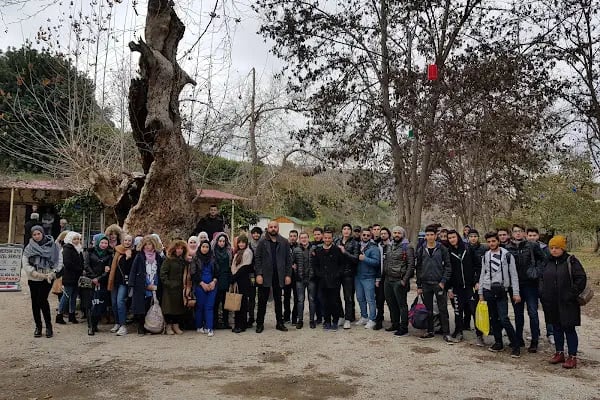 Özel Anadolu Dil Kursu - Resim 14