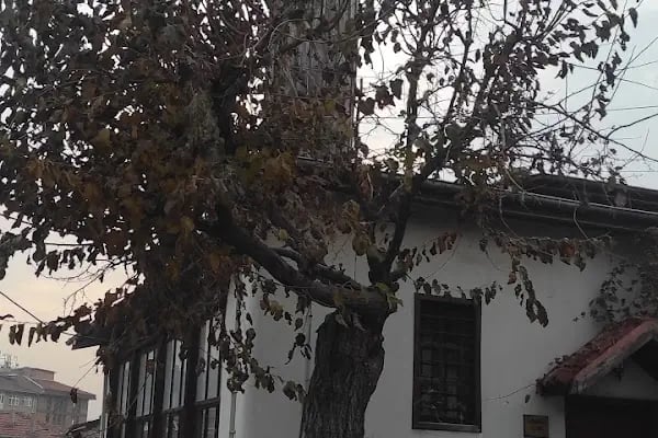 Direkli Cami - Resim 3