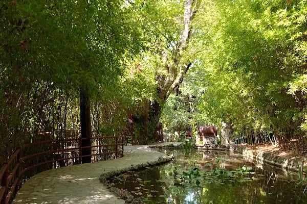 Alinda Cafe &amp; Restuarant - Resim 4