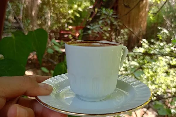 Alinda Cafe &amp; Restuarant - Resim 16