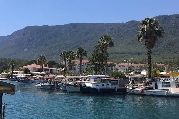 Dalaman Berkay Car Rental - Resim 13