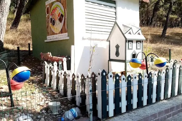 Değirmen Burnu Tabiat Parkı - Resim 15