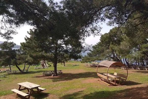 Değirmen Burnu Tabiat Parkı - Resim 4