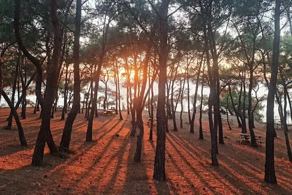 Değirmen Burnu Tabiat Parkı - Resim 9