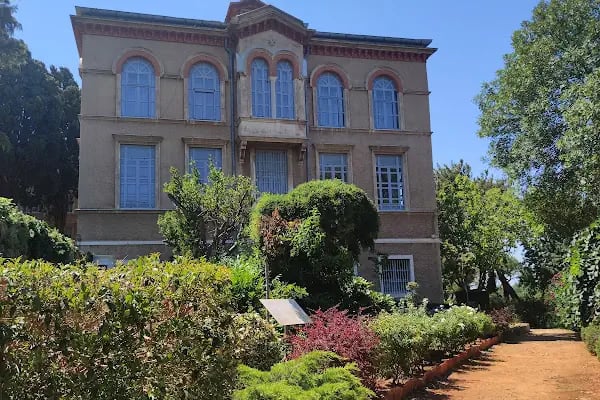 Değirmen Burnu Tabiat Parkı - Resim 11