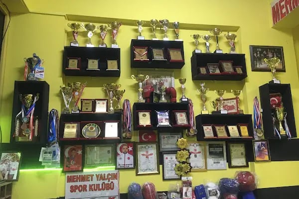 Nizip kickboks Mehmet Yalçın Spor kulübü - Resim 1