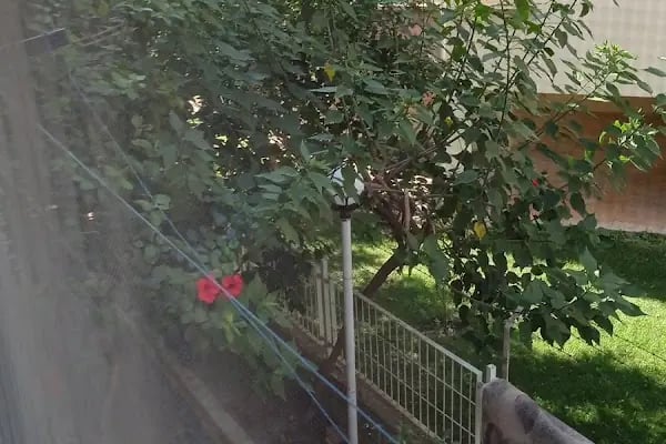 Önçağ Sitesi - Resim 6