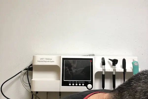 Finike Veteriner Kliniği - Resim 16
