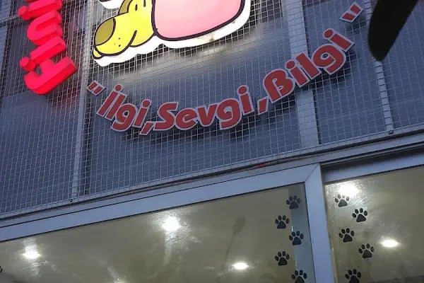 Finike Veteriner Kliniği - Resim 19