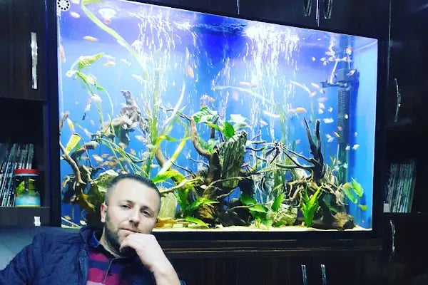 Ömer Akvaryum &amp; Petshop - Resim 12