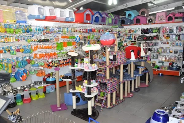 KING PETSHOP ALAÇATI MAĞAZA - Resim 10