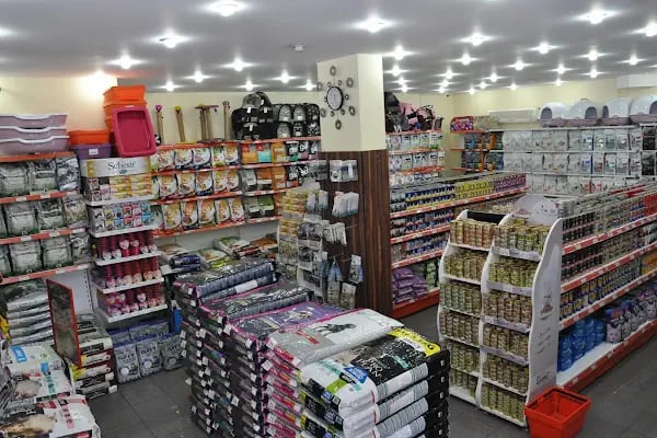 KING PETSHOP ALAÇATI MAĞAZA - Resim 3