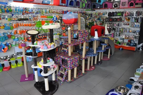 KING PETSHOP ALAÇATI MAĞAZA - Resim 20
