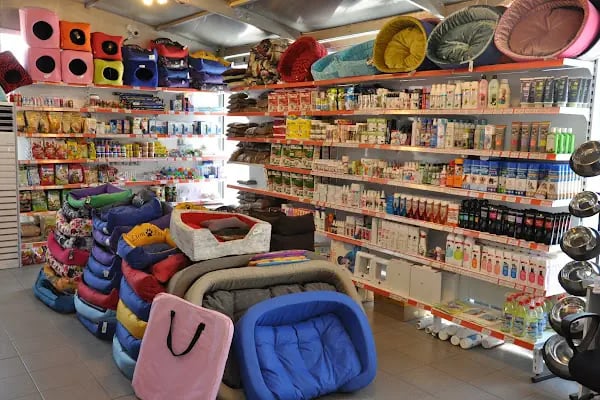 KING PETSHOP ALAÇATI MAĞAZA - Resim 14