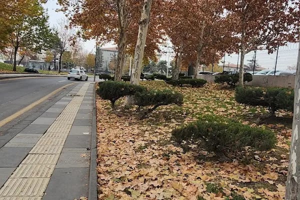 Ankara Adliyesi Dışkapı Ek Hizmet Binası - Resim 9