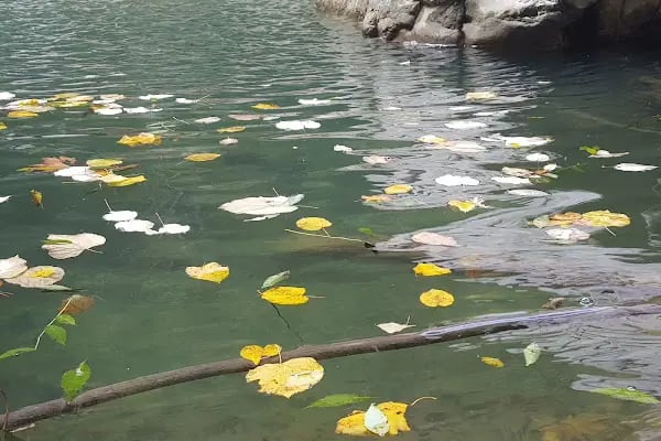 Su Düşen Şelalesi Maksudiye - Resim 9