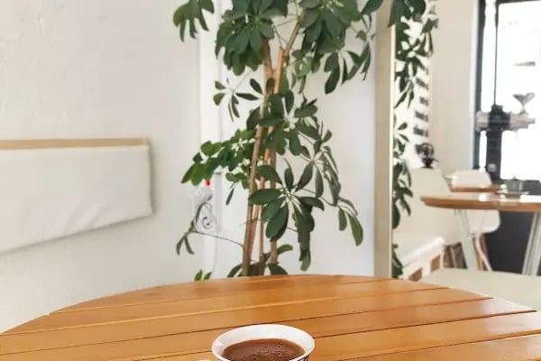 Caffe Castro Dumlupınar Subesi - Resim 9