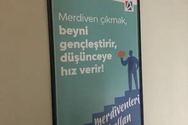 Aydın Holding - Resim 4