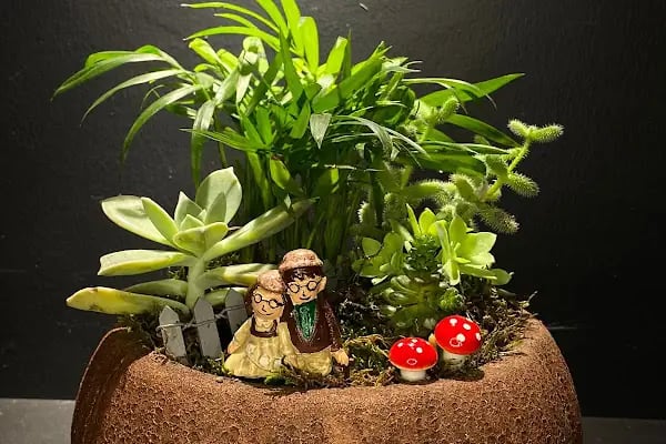 ALİCES HOBBY WORLD - Resim 9