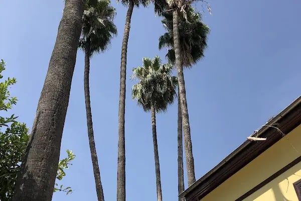 Adana Atatürk Evi Müzesi - Resim 19